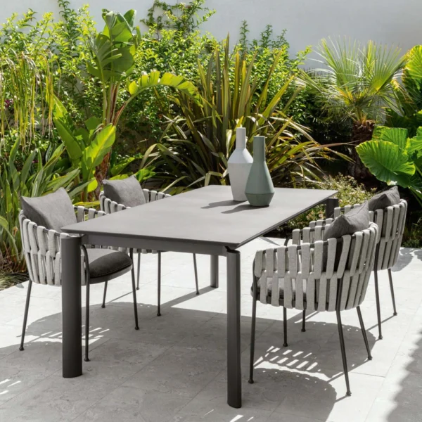 Frame Dining armchair - Image 4
