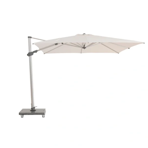 Parasol Venus