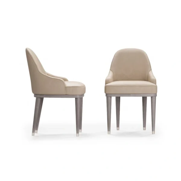 Cocoon Chair Two Armrest