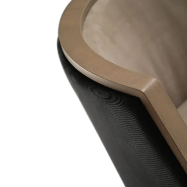 Dragonfly Armrests Chair - Image 3