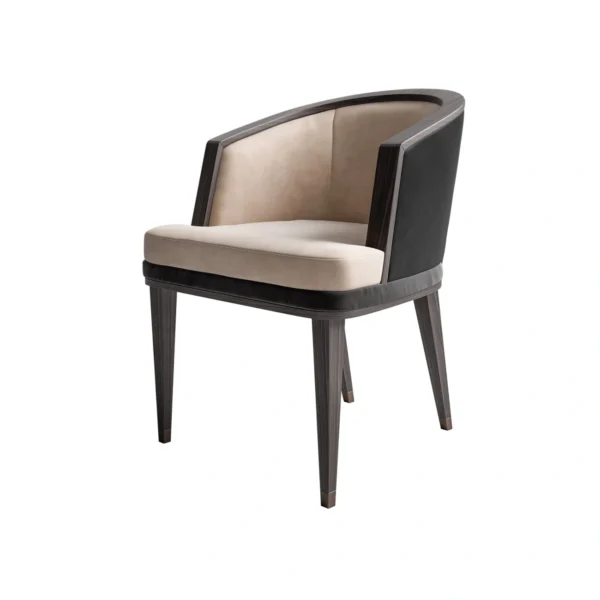 Dragonfly Armrests Chair