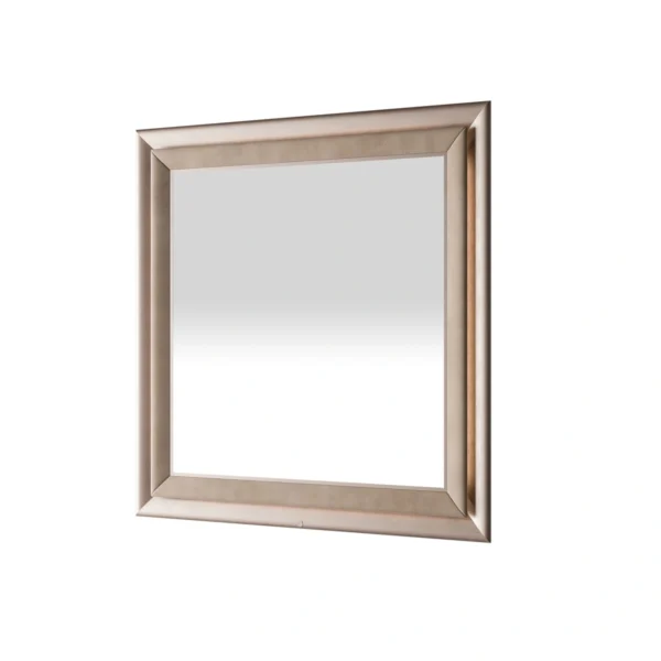 Dragonfly Square Mirror