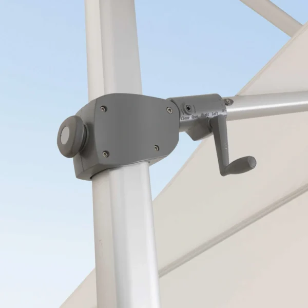 Parasol Venus - Image 3