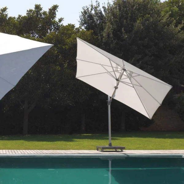 Parasol Venus - Image 5