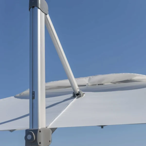 Parasol Zeus - Image 3