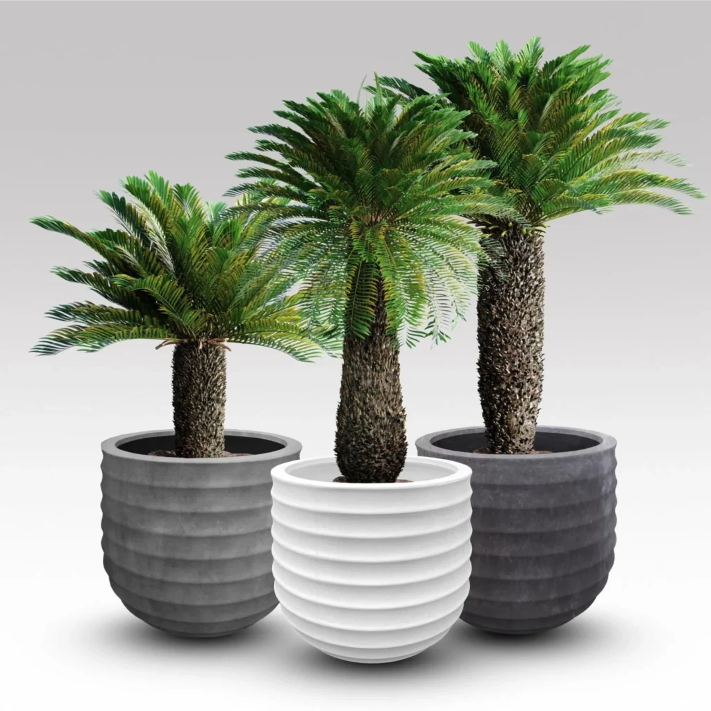 Fermo Planter